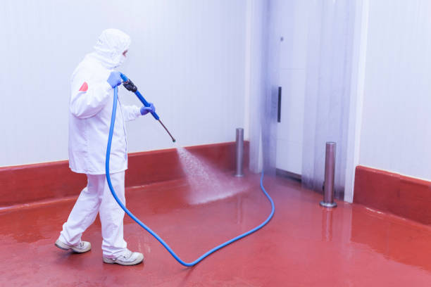 Best Soft Washing for Delicate Surfaces in Victorville, CA
